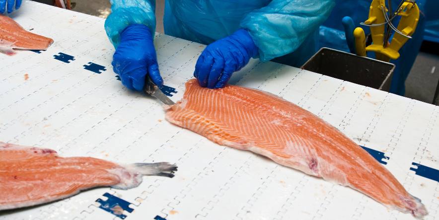 Refrigeration Engineers Plymouth - Fish Processing Equipment - SPX Refrigeration